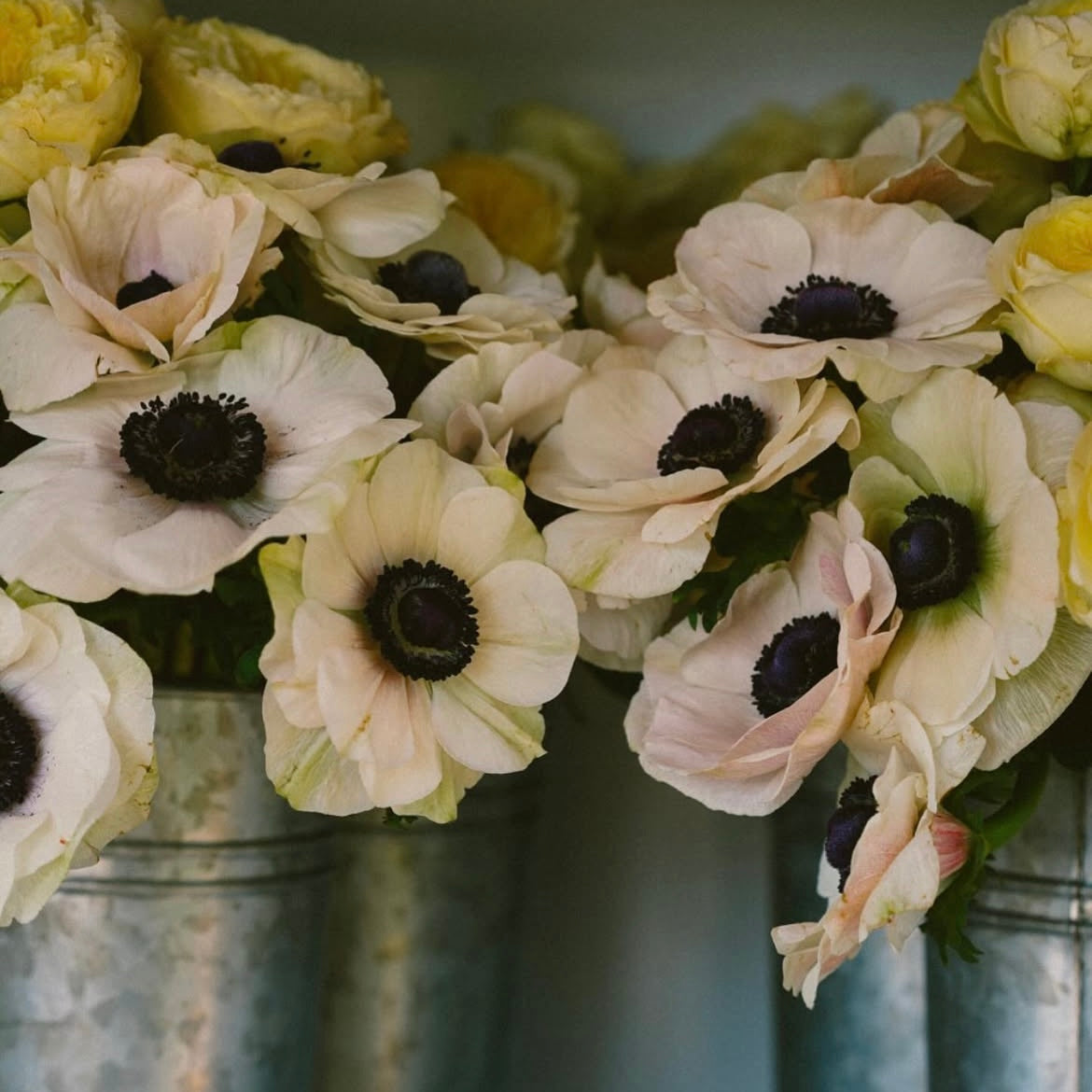 THANKSGIVING CENTERPIECE WORKSHOP